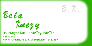 bela knezy business card